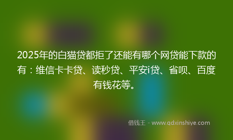 2025年的白猫贷都拒了还能有哪个网贷能下款的有：维信卡卡贷、读秒贷、平安i贷、省呗、百度有钱花等。