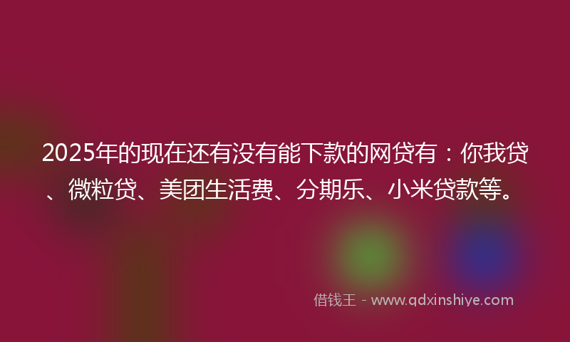 2025年的现在还有没有能下款的网贷有:你我贷、微粒贷、美团生活费、分期乐、小米贷款等。
