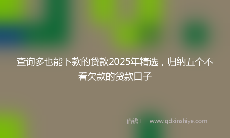 查询多也能下款的贷款2025年精选，归纳五个不看欠款的贷款口子