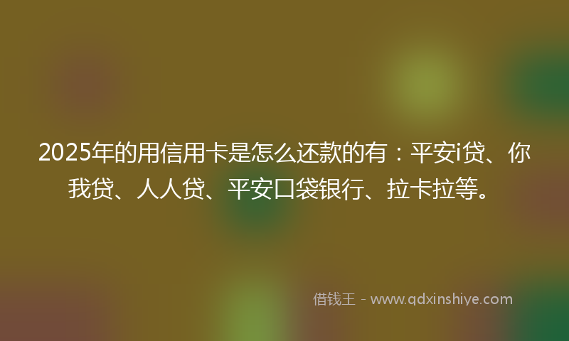 2025年的用信用卡是怎么还款的有：平安i贷、你我贷、人人贷、平安口袋银行、拉卡拉等。