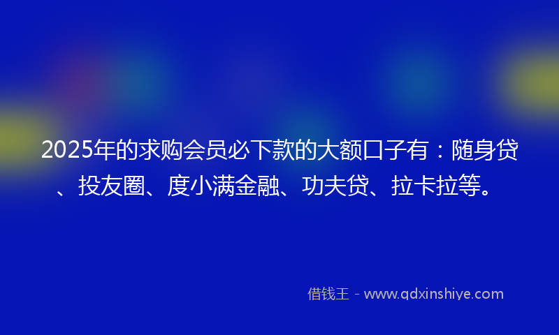 2025年的求购会员必下款的大额口子有：随身贷、投友圈、度小满金融、功夫贷、拉卡拉等。