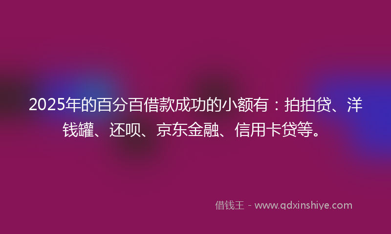 2025年的百分百借款成功的小额有：拍拍贷、洋钱罐、还呗、京东金融、信用卡贷等。