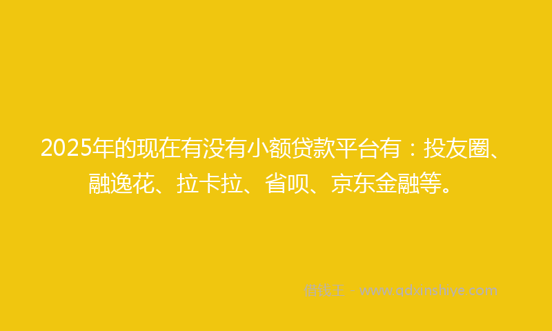2025年的现在有没有小额贷款平台有：投友圈、融逸花、拉卡拉、省呗、京东金融等。