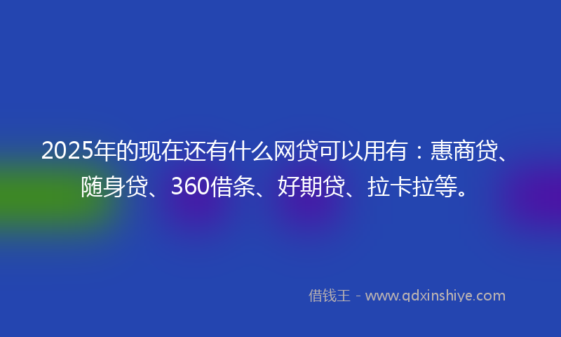 2025年的现在还有什么网贷可以用有：惠商贷、随身贷、360借条、好期贷、拉卡拉等。