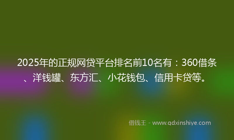 2025年的正规网贷平台排名前10名有：360借条、洋钱罐、东方汇、小花钱包、信用卡贷等。