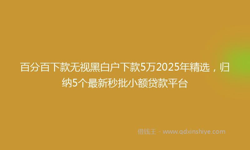 百分百下款无视黑白户下款5万2025年精选，归纳5个最新秒批小额贷款平台