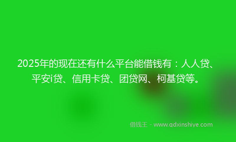 2025年的现在还有什么平台能借钱有：人人贷、平安i贷、信用卡贷、团贷网、柯基贷等。