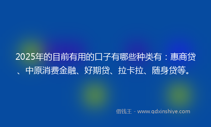2025年的目前有用的口子有哪些种类有：惠商贷、中原消费金融、好期贷、拉卡拉、随身贷等。