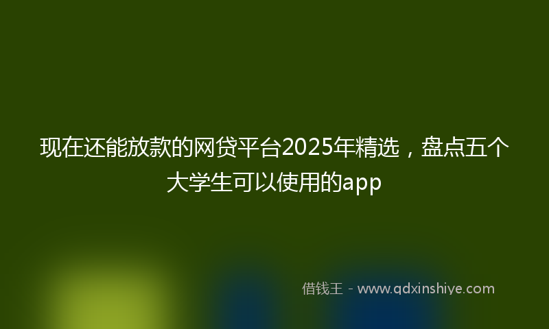 现在还能放款的网贷平台2025年精选,盘点五个大学生可以使用的app