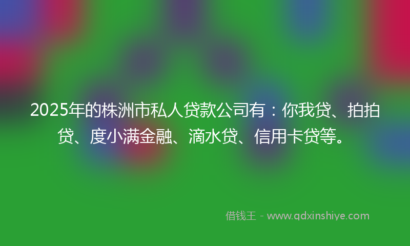 2025年的株洲市私人贷款公司有：你我贷、拍拍贷、度小满金融、滴水贷、信用卡贷等。