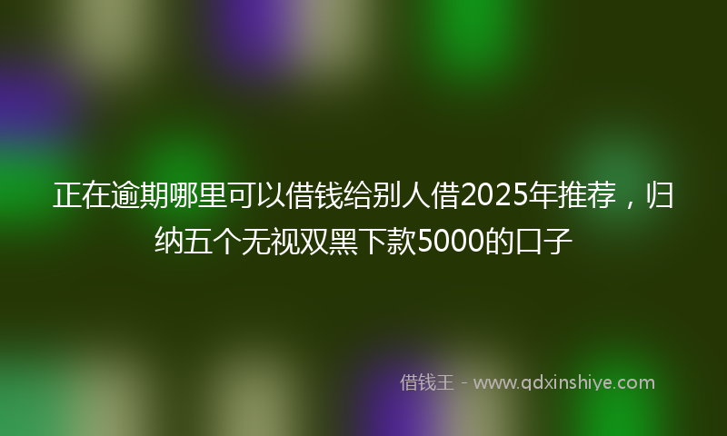 正在逾期哪里可以借钱给别人借2025年推荐，归纳五个无视双黑下款5000的口子