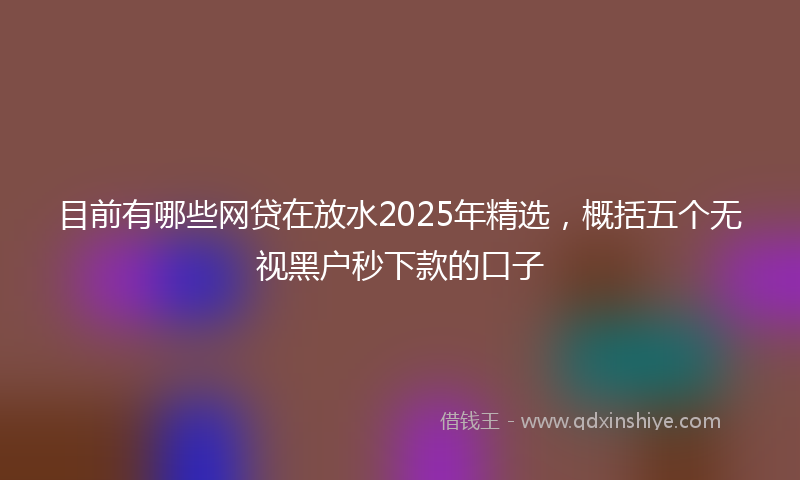 目前有哪些网贷在放水2025年精选，概括五个无视黑户秒下款的口子