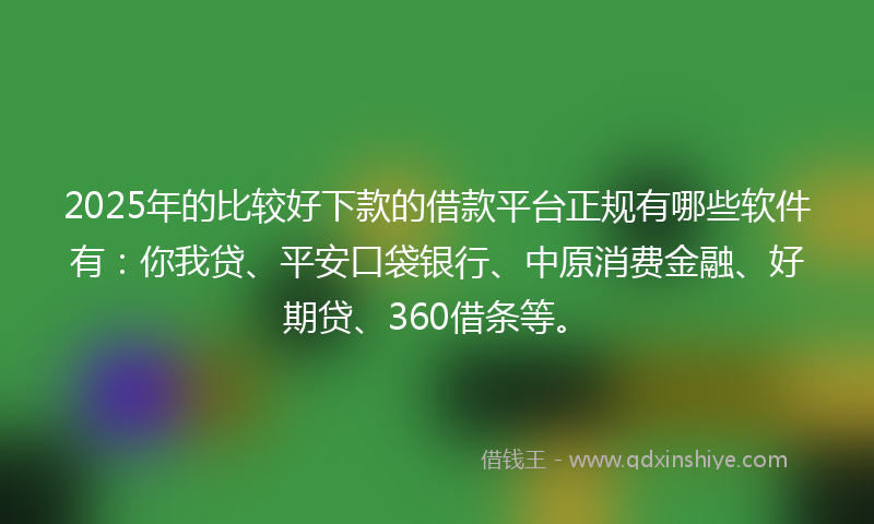 2025年的比较好下款的借款平台正规有哪些软件有：你我贷、平安口袋银行、中原消费金融、好期贷、360借条等。