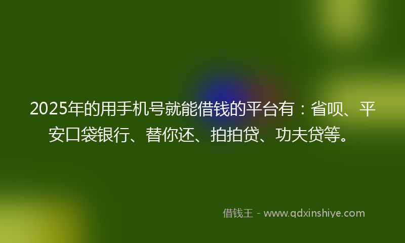 2025年的用手机号就能借钱的平台有:省呗、平安口袋银行、替你还、拍拍贷、功夫贷等。