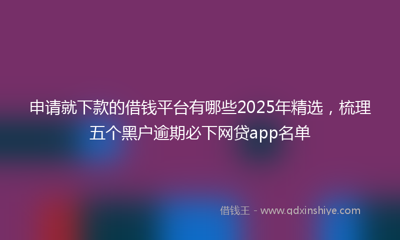 申请就下款的借钱平台有哪些2025年精选,梳理五个黑户逾期必下网贷app名单