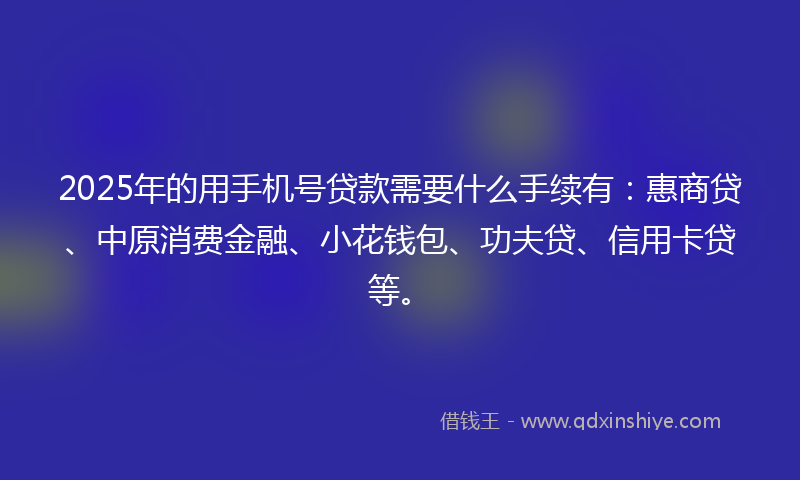 2025年的用手机号贷款需要什么手续有：惠商贷、中原消费金融、小花钱包、功夫贷、信用卡贷等。