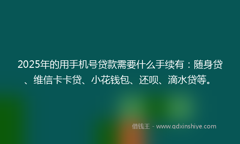 2025年的用手机号贷款需要什么手续有：随身贷、维信卡卡贷、小花钱包、还呗、滴水贷等。