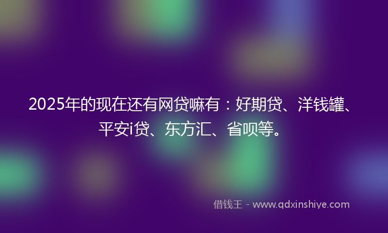 2025年的现在还有网贷嘛有：好期贷、洋钱罐、平安i贷、东方汇、省呗等。