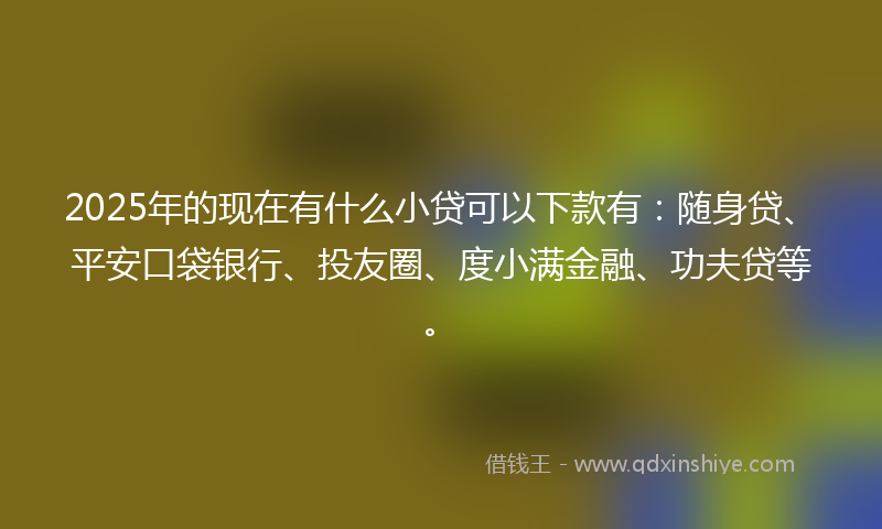 2025年的现在有什么小贷可以下款有：随身贷、平安口袋银行、投友圈、度小满金融、功夫贷等。