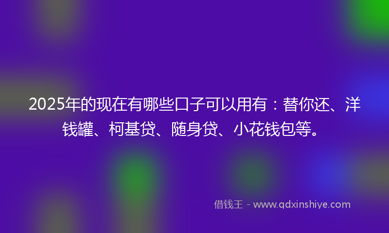 2025年的现在有哪些口子可以用有：替你还、洋钱罐、柯基贷、随身贷、小花钱包等。