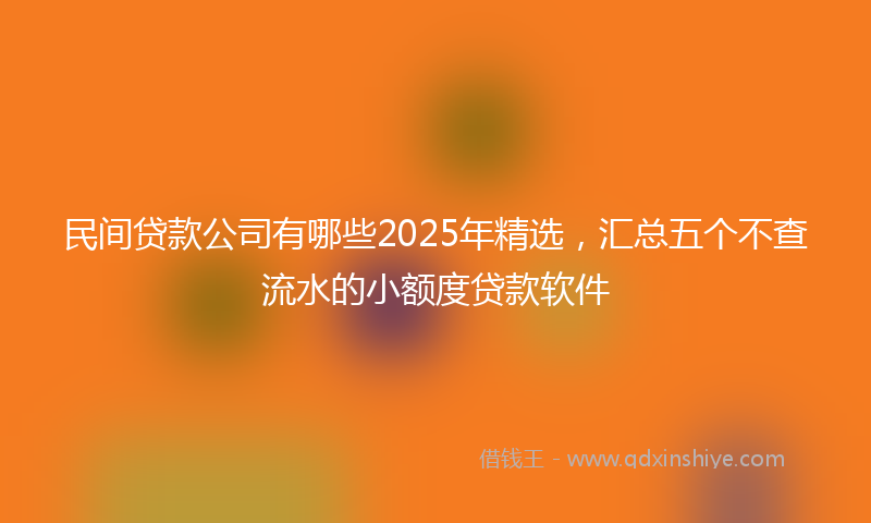 民间贷款公司有哪些2025年精选，汇总五个不查流水的小额度贷款软件