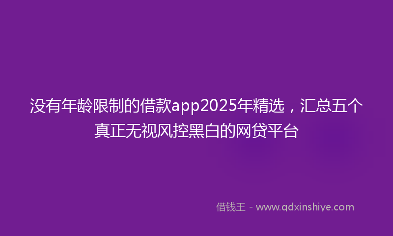 没有年龄限制的借款app2025年精选，汇总五个真正无视风控黑白的网贷平台