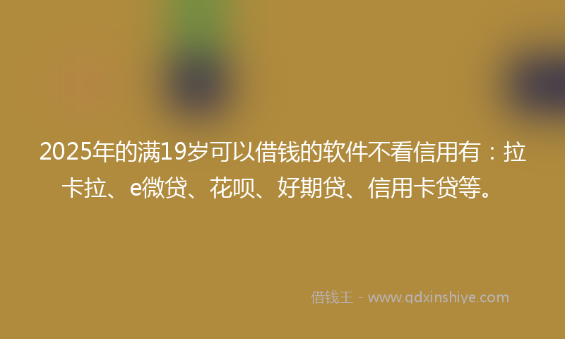 2025年的满19岁可以借钱的软件不看信用有：拉卡拉、e微贷、花呗、好期贷、信用卡贷等。