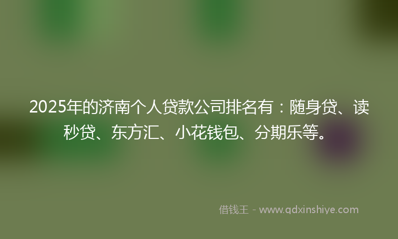 2025年的济南个人贷款公司排名有：随身贷、读秒贷、东方汇、小花钱包、分期乐等。
