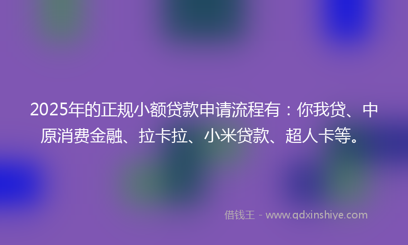 2025年的正规小额贷款申请流程有：你我贷、中原消费金融、拉卡拉、小米贷款、超人卡等。