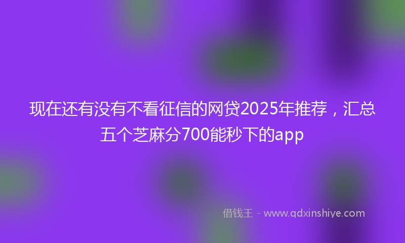 现在还有没有不看征信的网贷2025年推荐，汇总五个芝麻分700能秒下的app