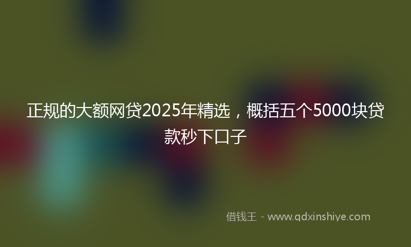 正规的大额网贷2025年精选，概括五个5000块贷款秒下口子