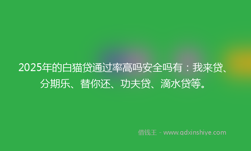 2025年的白猫贷通过率高吗安全吗有：我来贷、分期乐、替你还、功夫贷、滴水贷等。