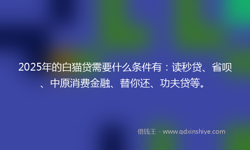 2025年的白猫贷需要什么条件有：读秒贷、省呗、中原消费金融、替你还、功夫贷等。