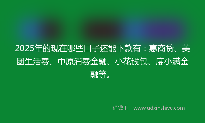2025年的现在哪些口子还能下款有：惠商贷、美团生活费、中原消费金融、小花钱包、度小满金融等。