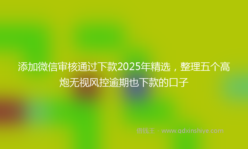添加微信审核通过下款2025年精选，整理五个高炮无视风控逾期也下款的口子