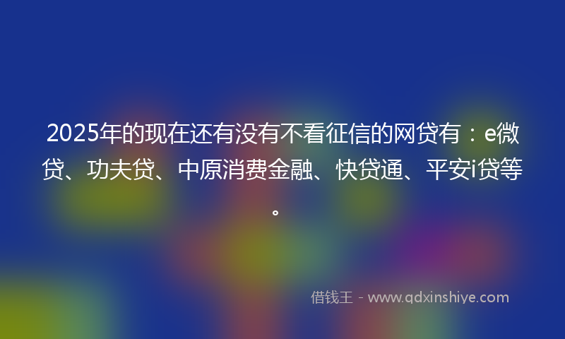 2025年的现在还有没有不看征信的网贷有：e微贷、功夫贷、中原消费金融、快贷通、平安i贷等。