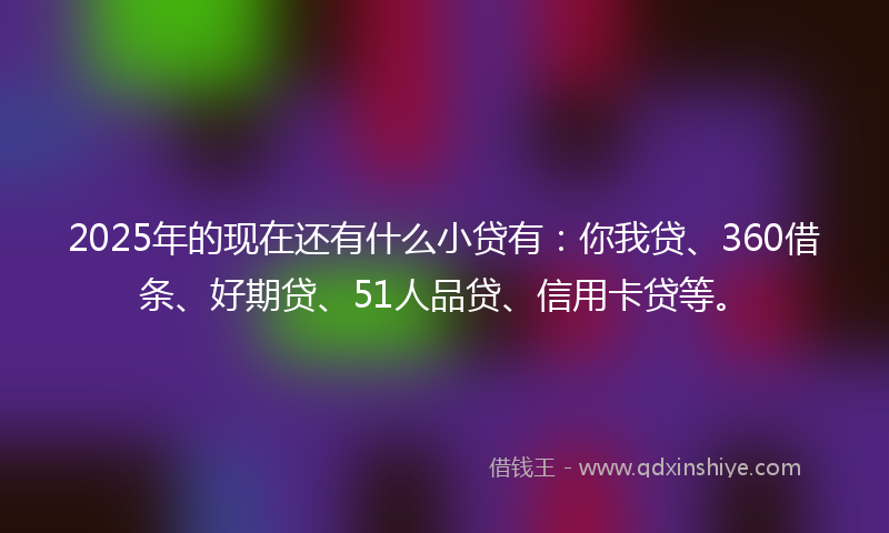2025年的现在还有什么小贷有：你我贷、360借条、好期贷、51人品贷、信用卡贷等。