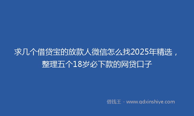 求几个借贷宝的放款人微信怎么找2025年精选，整理五个18岁必下款的网贷口子