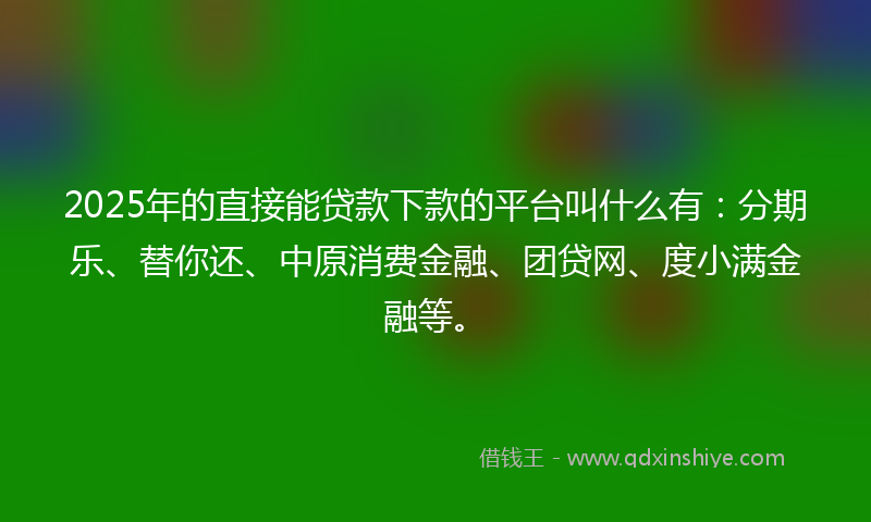 2025年的直接能贷款下款的平台叫什么有：分期乐、替你还、中原消费金融、团贷网、度小满金融等。
