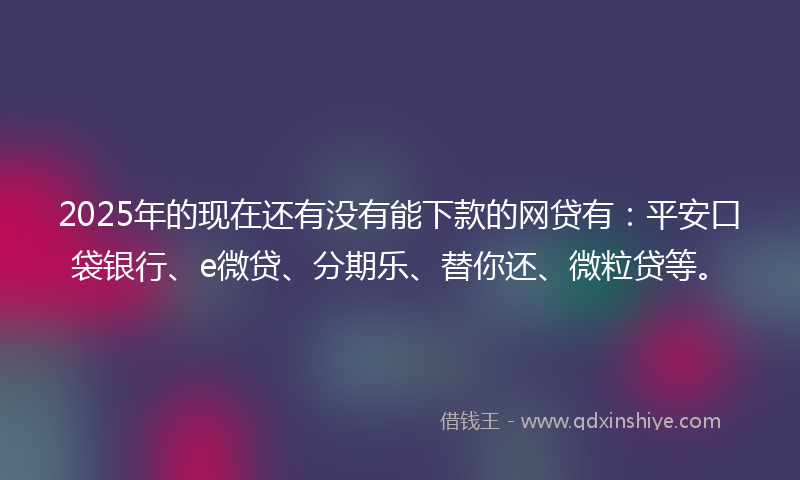 2025年的现在还有没有能下款的网贷有：平安口袋银行、e微贷、分期乐、替你还、微粒贷等。