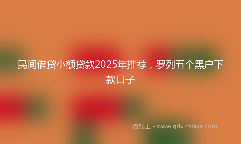 民间借贷小额贷款2025年推荐，罗列五个黑户下款口子