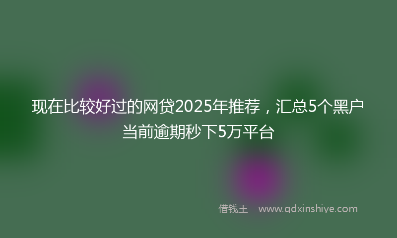 现在比较好过的网贷2025年推荐,汇总5个黑户当前逾期秒下5万平台