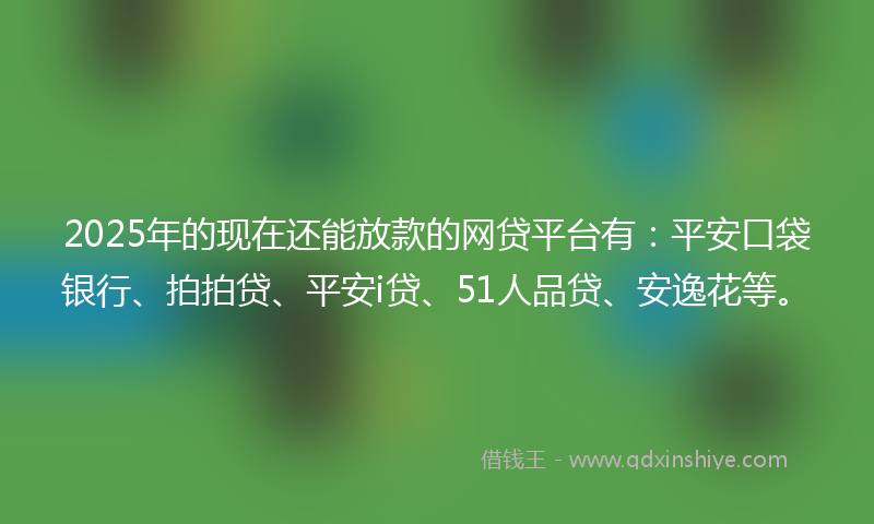 2025年的现在还能放款的网贷平台有:平安口袋银行、拍拍贷、平安i贷、51人品贷、安逸花等。