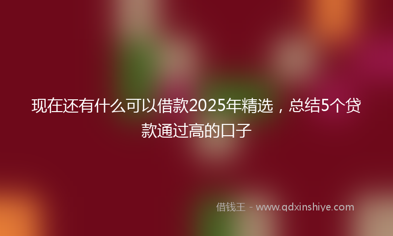 现在还有什么可以借款2025年精选，总结5个贷款通过高的口子