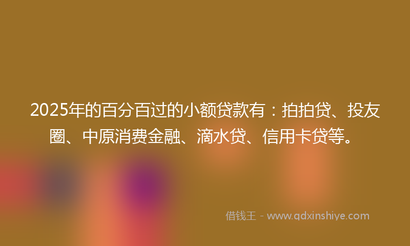2025年的百分百过的小额贷款有：拍拍贷、投友圈、中原消费金融、滴水贷、信用卡贷等。