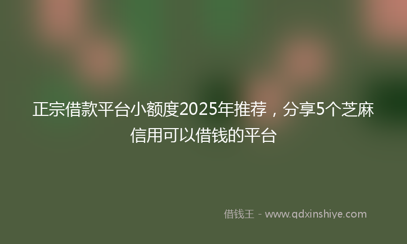 正宗借款平台小额度2025年推荐，分享5个芝麻信用可以借钱的平台