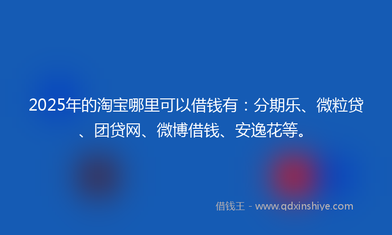 2025年的淘宝哪里可以借钱有：分期乐、微粒贷、团贷网、微博借钱、安逸花等。