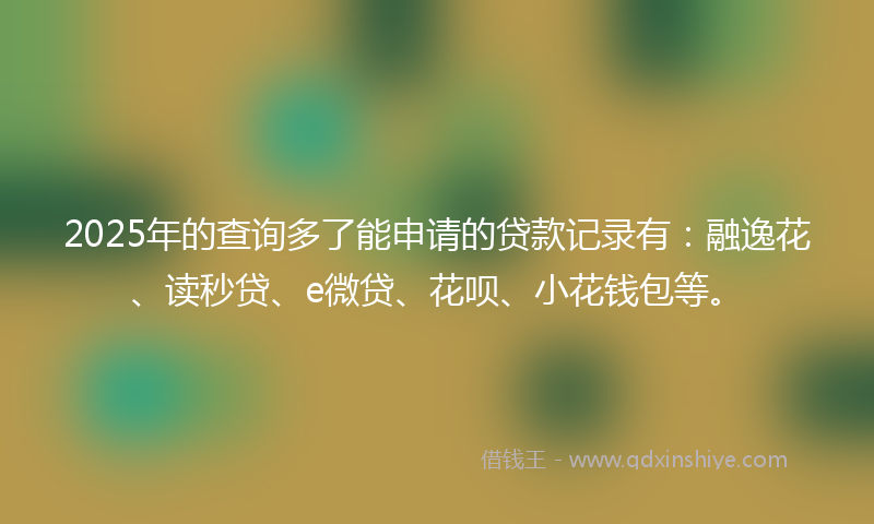2025年的查询多了能申请的贷款记录有:融逸花、读秒贷、e微贷、花呗、小花钱包等。