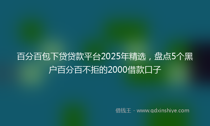 百分百包下贷贷款平台2025年精选，盘点5个黑户百分百不拒的2000借款口子