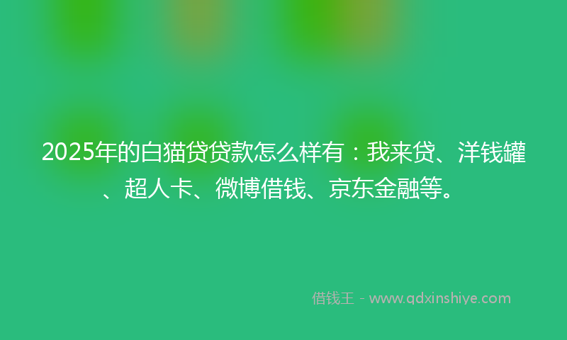 2025年的白猫贷贷款怎么样有：我来贷、洋钱罐、超人卡、微博借钱、京东金融等。